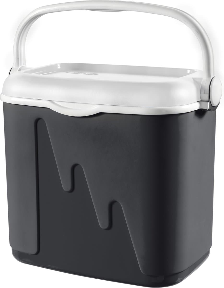 Curver Koelbox - 32L - Antraciet