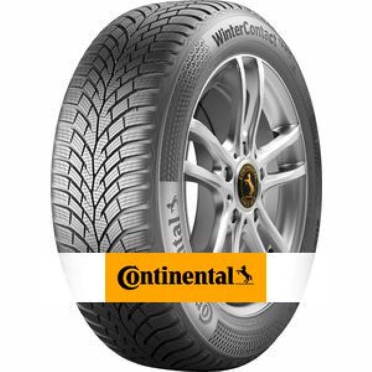 CONTINENTAL CONTI ECO CONTACT 6 22555 R18 XL 102 Y