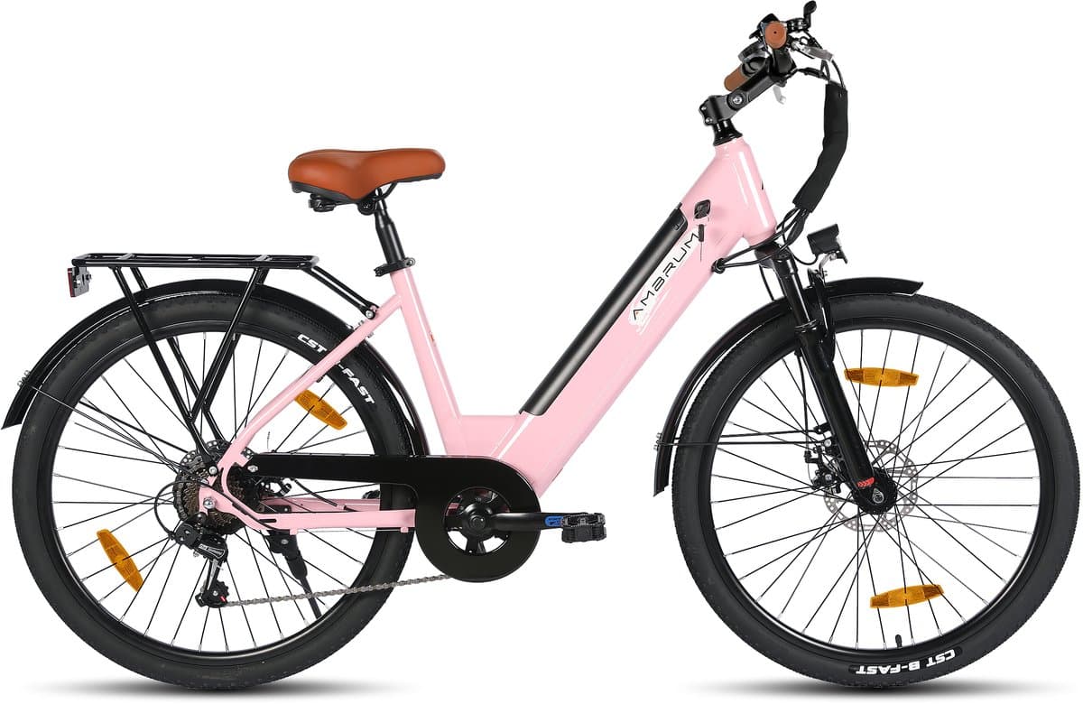 HILAND Elektrische Stadsfiets - 26 inch - E-bike - 250W Motor - 36V 7.8Ah Accu - 11 Versnellingen - Schijfremmen - Uniseks