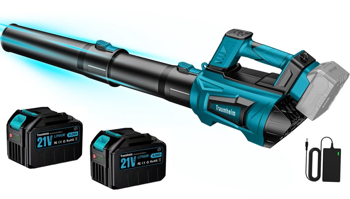 Accu Bladblazer - met Borstelloze Motor - 2x 6000mAh Accu en Lader - 306 km/h Windsnelheid - 5 Standen + Turbostand - voor Huis, Tuin en Werk - bladblazer elektrisch - bladblazers