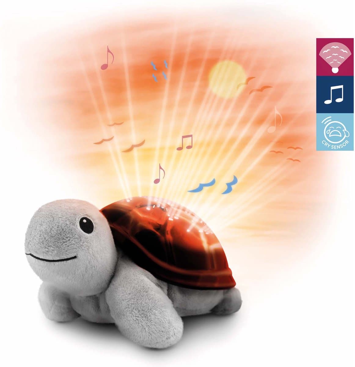 Zazu Projector Tim De Schildpad