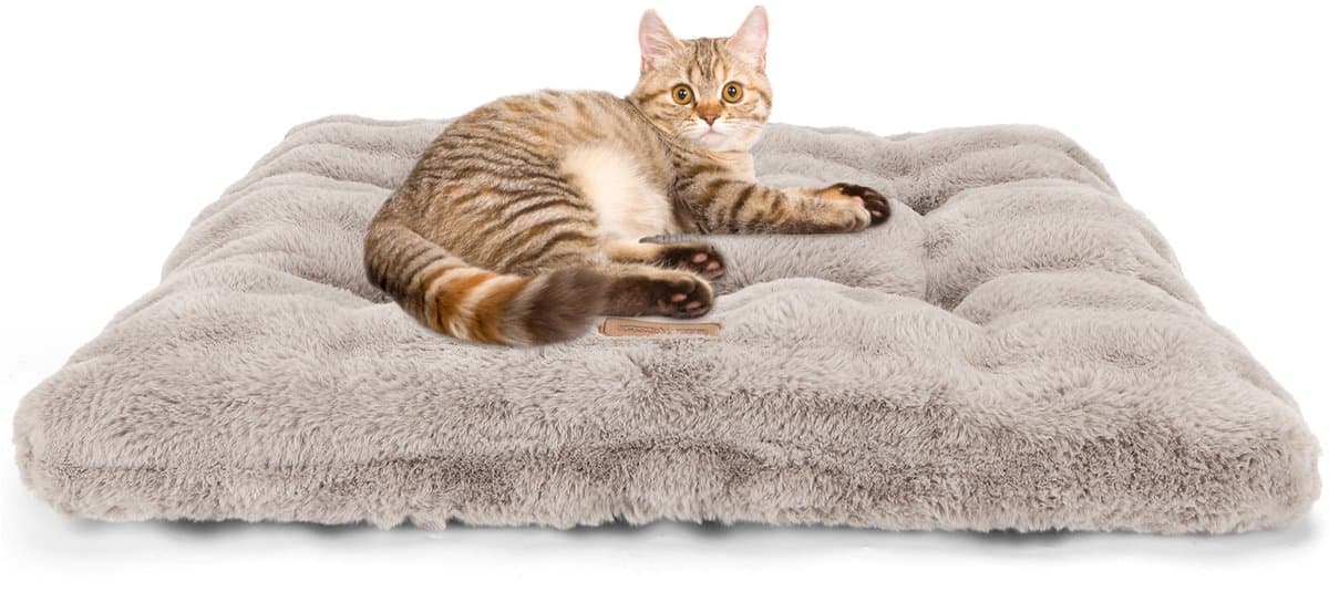 Nobleza Kattenkussen - Benchkussen - Kattenmat - Kattenbed - Maat S: 50 x 40 x 8 cm - Bruin