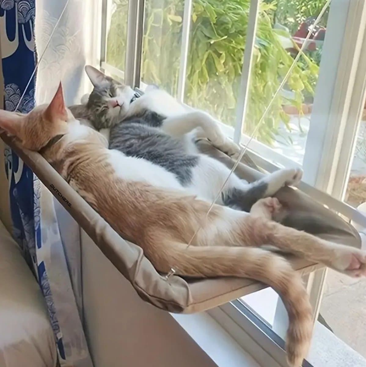 Dutchers® Kattenbed - Nu met extra ligkussen - Hangmat voor huisdier - Kattenmand voor het raam - Hangmat - Ligbed voor poes & kat - Bruin