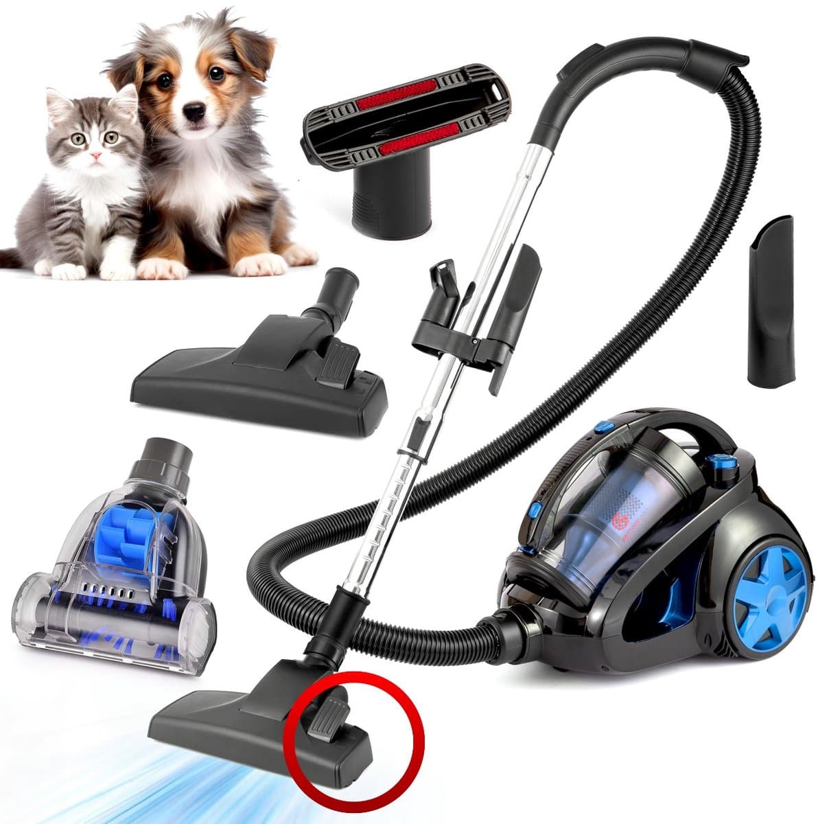 AG3100 Stofzuiger Zonder Zak - Stofzuigers - Vacuum Cleaner Zakloos - Geschikt Voor Dierenharen -900W - Sterke Zuigkracht - Blauw