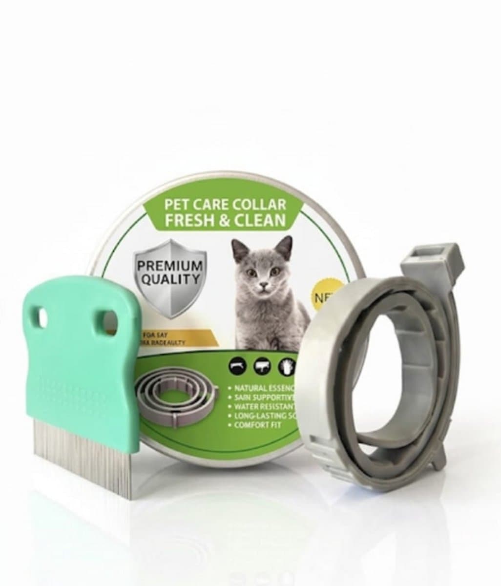 2 STUKS - Halsband voor Katten - Inclusief 2 STUKS Vlooienkam - Effectief - Hygiënische Bescherming - Voordeelverpakking - Verstelbaar & Veilig -