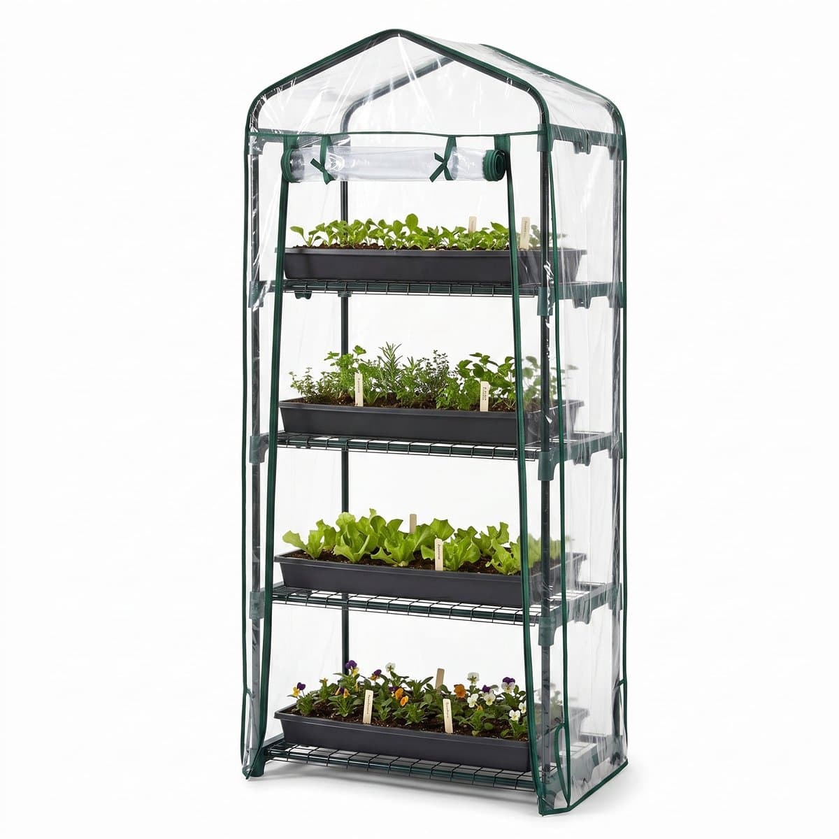 Lomera Broeikas - Kweekkas - 4 Verdiepingen - Foliekas - Serre - Mini Serre - Tuinkas - Plantenkas voor Balkon - Groenten Kweken - Tuin en Terras - Metalen Frame - Bloemenkas - Kruiden Kweken - Kweektent - Moestuin - Zaailingen