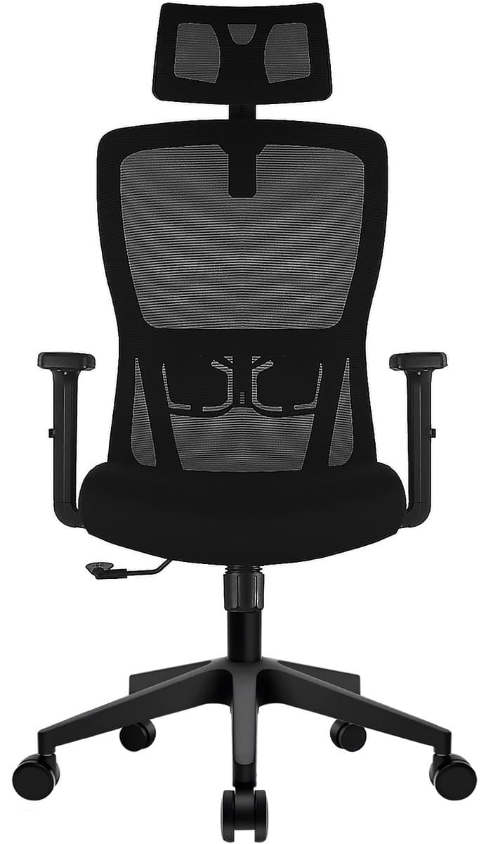 Durrafy Ergonomische Bureaustoel - Bureaustoel - Bureaustoelen voor Volwassenen - Office Chair met Verstelbare Lendensteun, Hoofdsteun & Armleuningen | Hoge Rugleuning, Schommel- en Kantelfunctie (90°-130°), Geschikt voor Thuiswerk en Kantoor, Zwart
