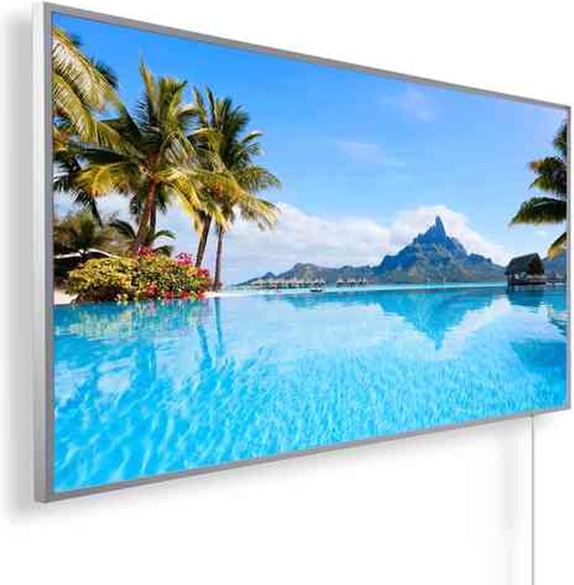 Infrarood paneel | Infrarood verwarming met thermostaat | 600W | panorama afbeelding 01 |