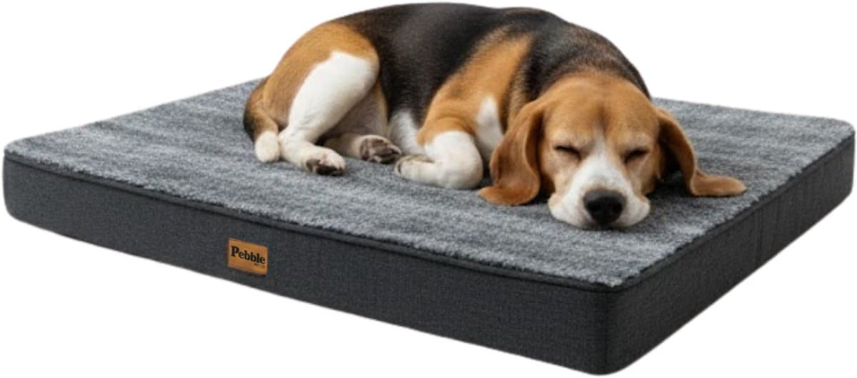 Pebble Orthopedisch Hondenkussen 75x50 cm - Hondenmand & Benchkussen - Dierenkussen - Voor Kleine tot Middelgrote Honden - Hondenbed