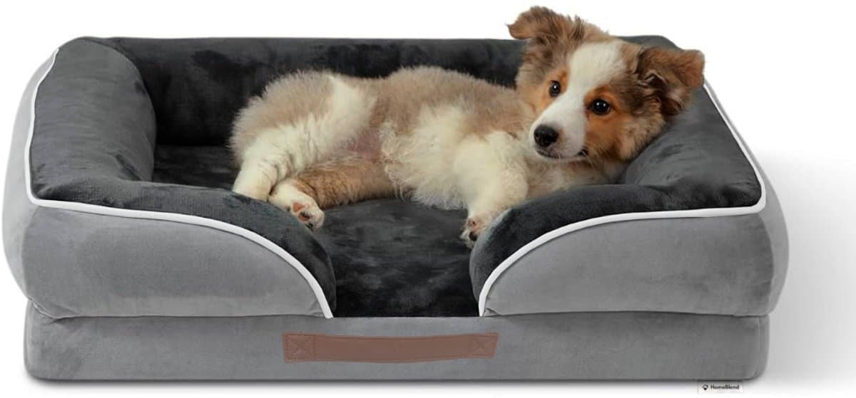 HomeBlend Orthopedische Hondenmand 71x59 cm - Hondenbed - Maat M - Dierenmand - Hondenbed - Hondenkussen - Voor kleine tot middelgrote honden